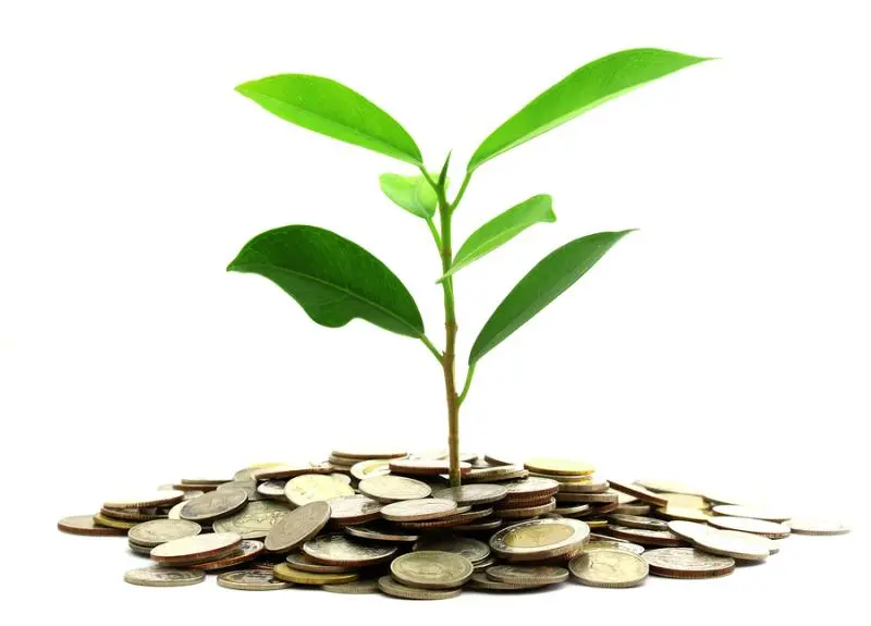 Инвестиции SKF в сохранение экологии | Свежие новости в Архангельске