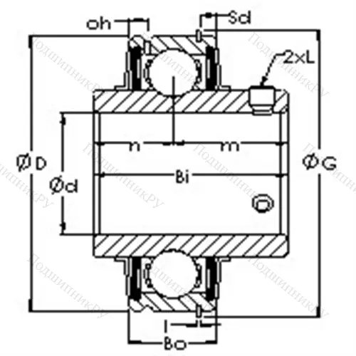 Подшипниковый узел ER 206-19 от производителя  AST