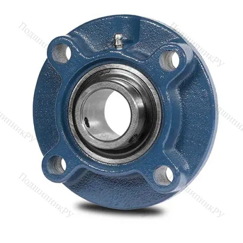 UCFC 21856 SNR в Архангельске
