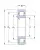 Роликовый цилиндрический подшипник NJ 310 ECJ/C 3 от производителя  SKF